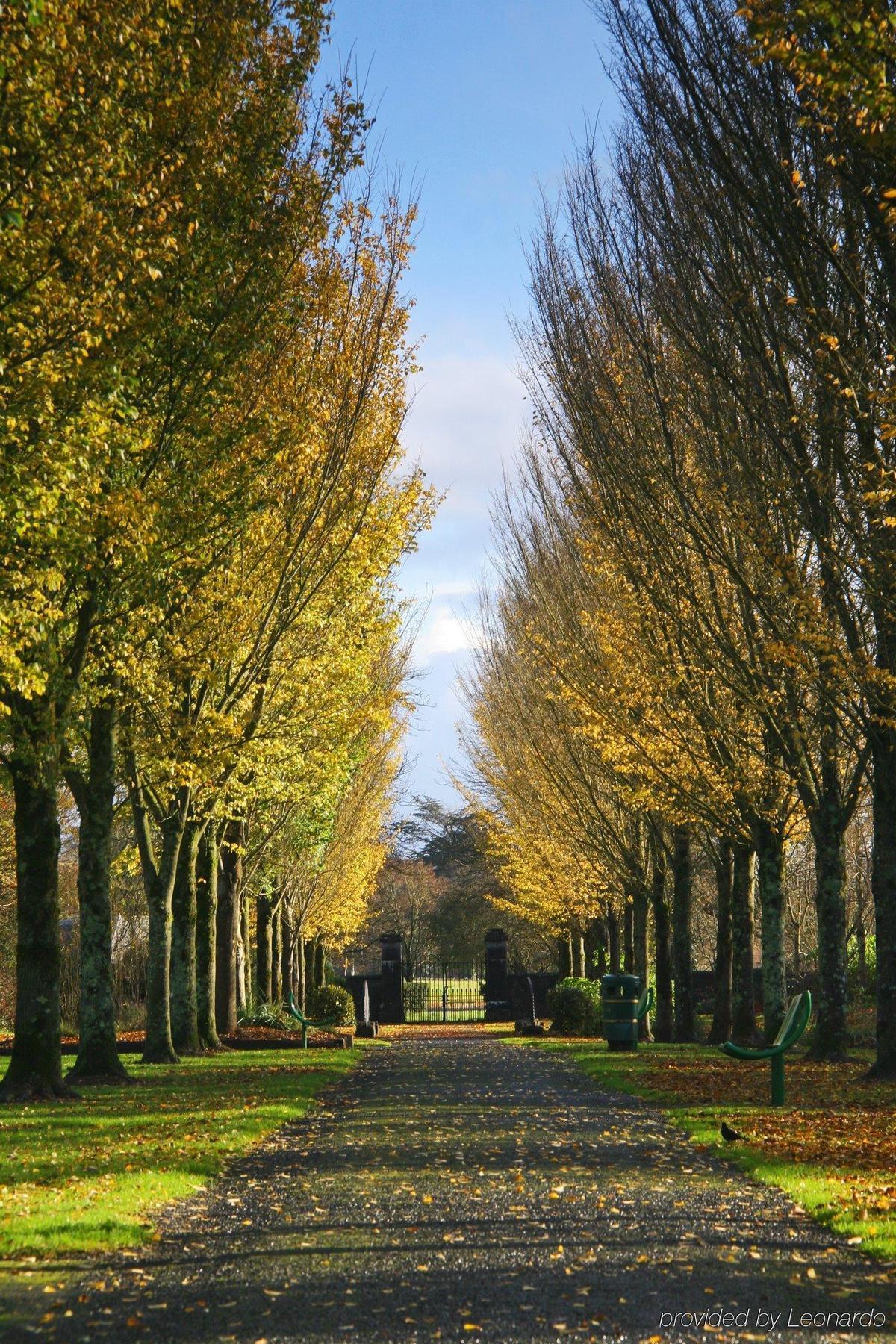 The Dunraven, Adare Hotel Exterior foto